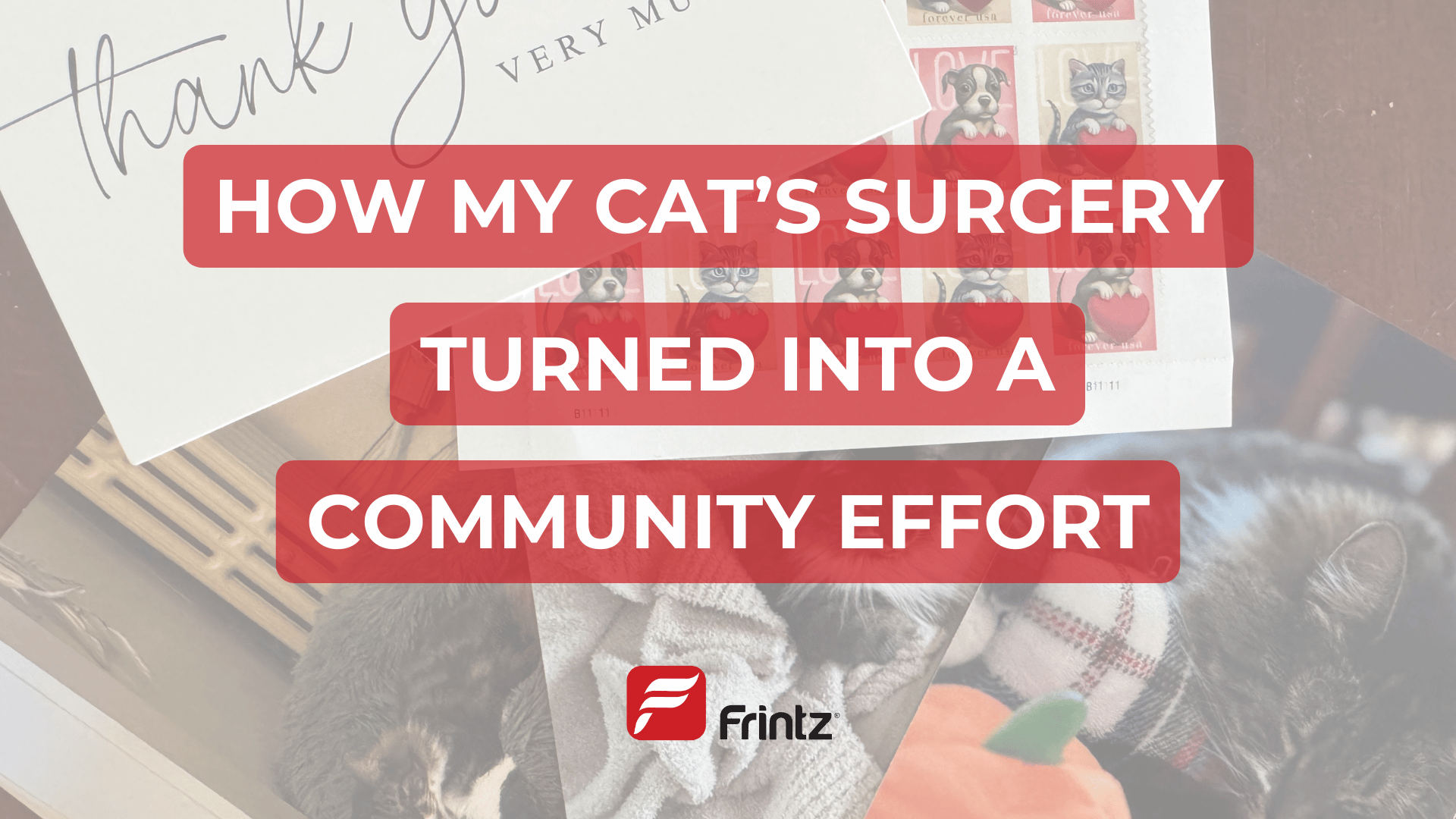 A thank you card, cat heart stamps, and three photos of a cat with the text overlay: "How My Cat's Surgery Turned Into a Community Effort"