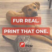 Dog and cat making eye contact with the camera, sitting together, with overlay text that reads “Fur Real—Print That One.”