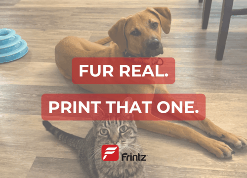 Dog Photos Deserve More Than Your Camera Roll—Here’s What to Do Instead