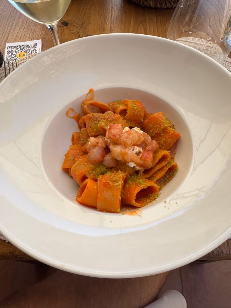 A bowl of pasta featuring calamarata shaped pasta and raw shrimp on top.
